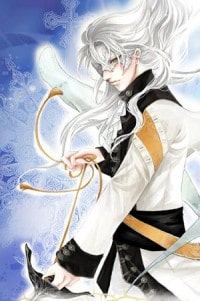 巫师世界的大领主